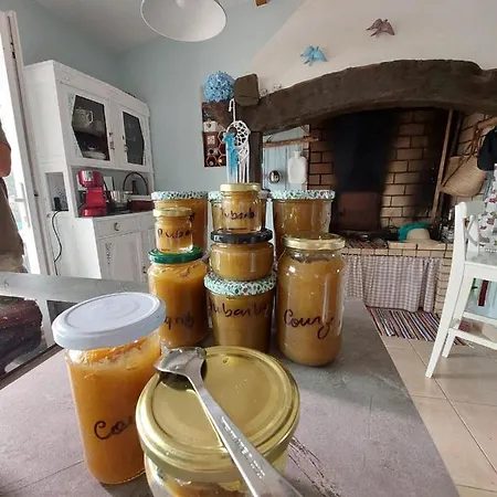 Quinta Da Choupana Κάμπινγκ