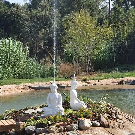 Quinta Da Choupana *