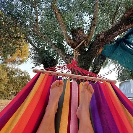 Κάμπινγκ Quinta Da Choupana