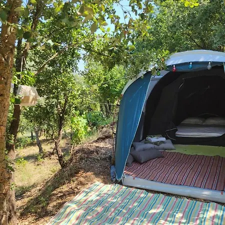 Κάμπινγκ Quinta Da Choupana Tomar