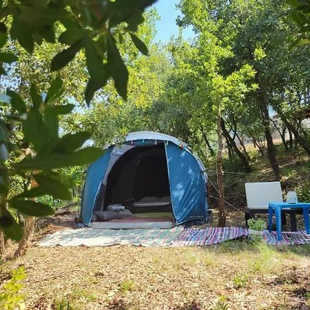Quinta Da Choupana Κάμπινγκ Tomar